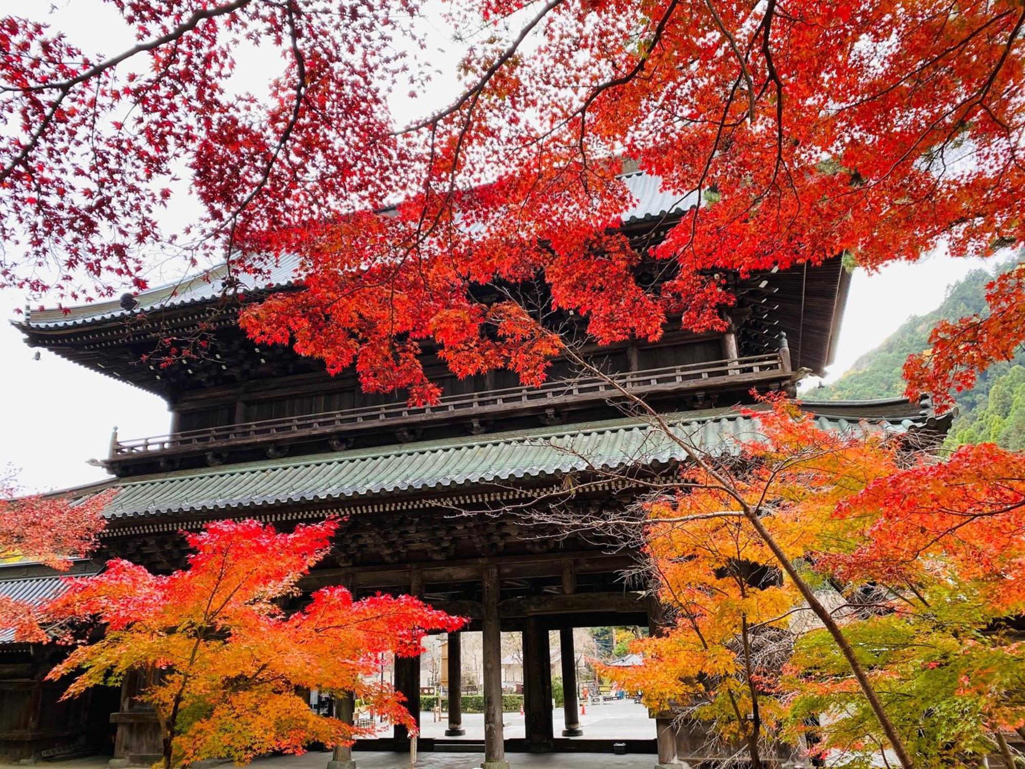 Ryokan Tanakaya Minobu Exteriör bild