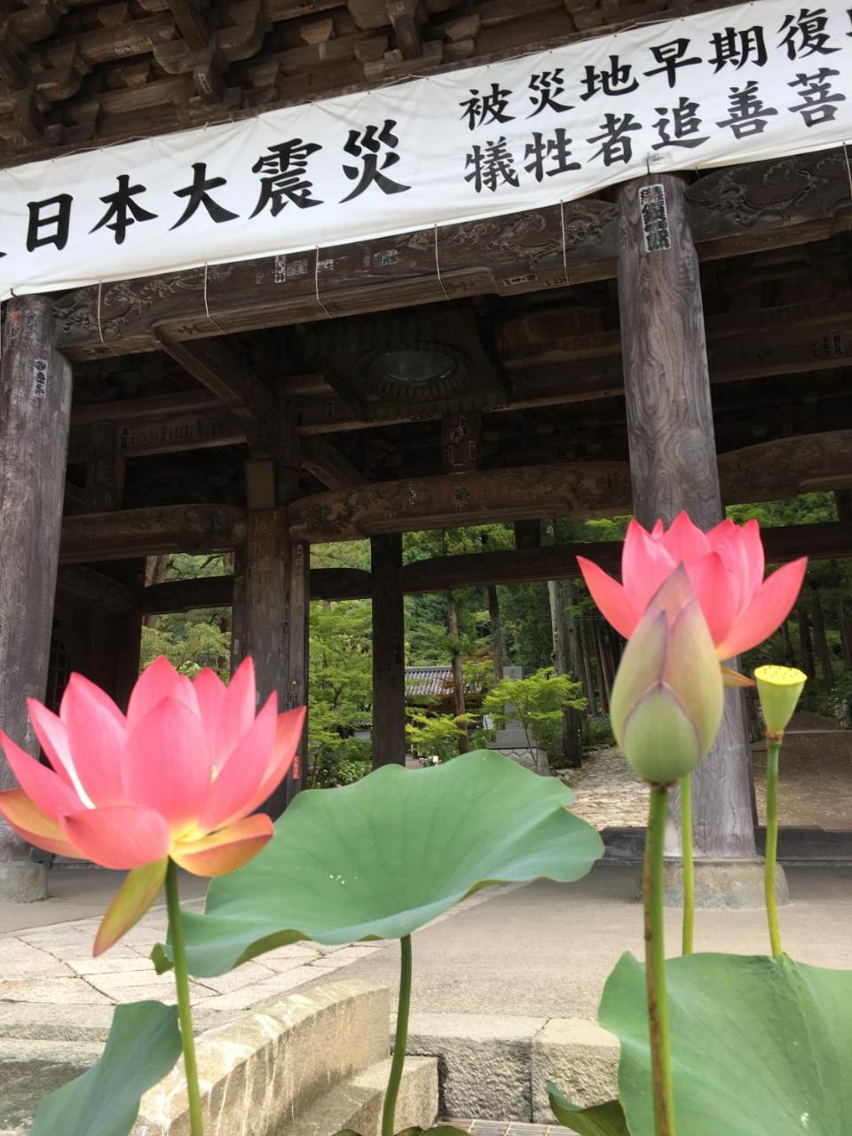 Ryokan Tanakaya Minobu Exteriör bild