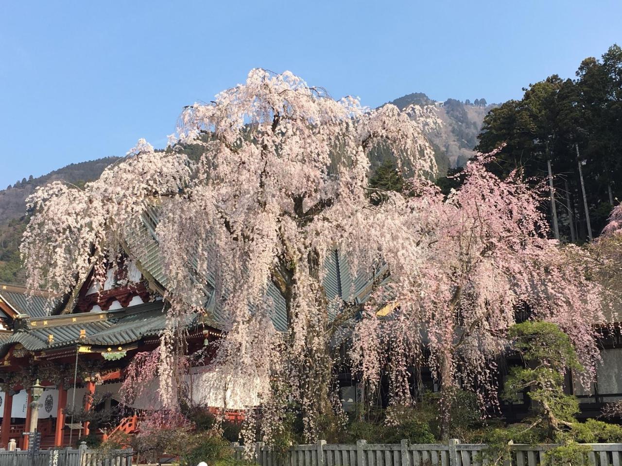 Ryokan Tanakaya Minobu Exteriör bild